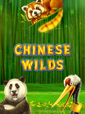 slot666 ทดลองเล่น chinese-wilds